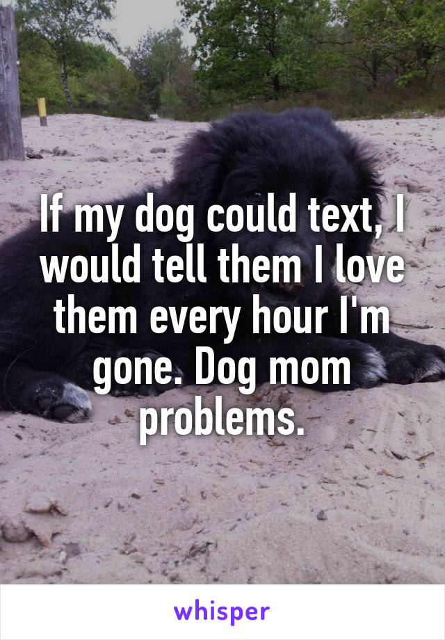 If my dog could text, I would tell them I love them every hour I'm gone. Dog mom problems.