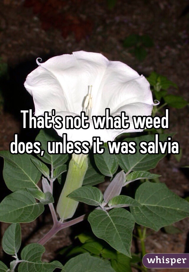 That's not what weed does, unless it was salvia