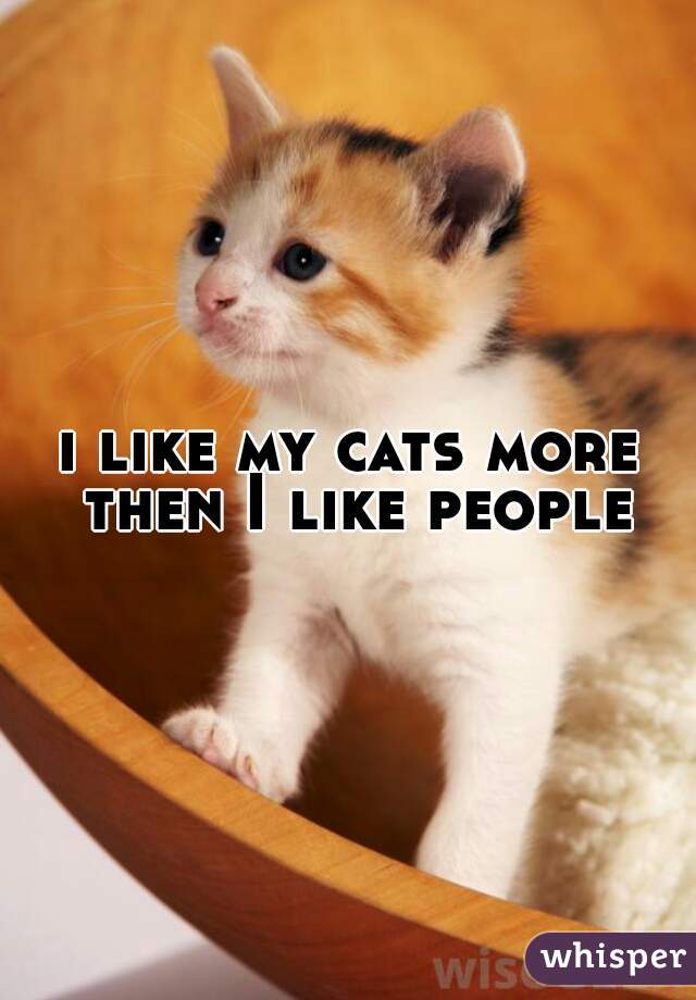 i like my cats more then I like people