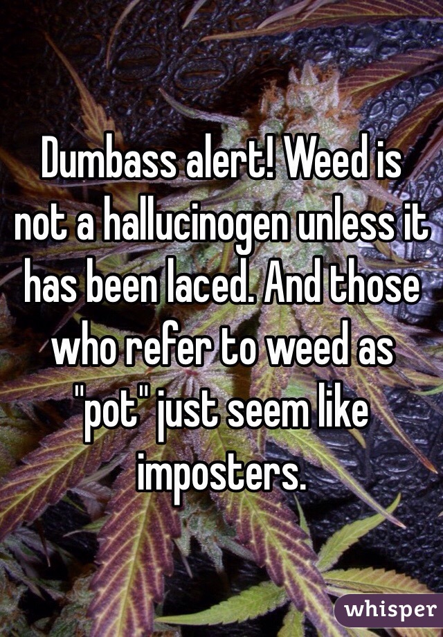 Dumbass alert! Weed is not a hallucinogen unless it has been laced. And those who refer to weed as "pot" just seem like imposters. 