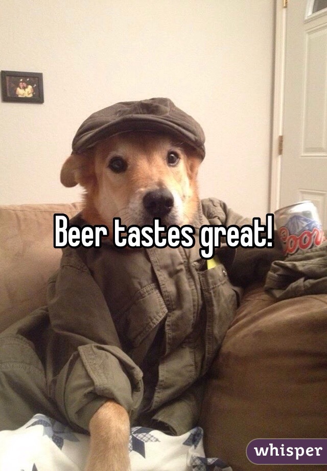 Beer tastes great! 