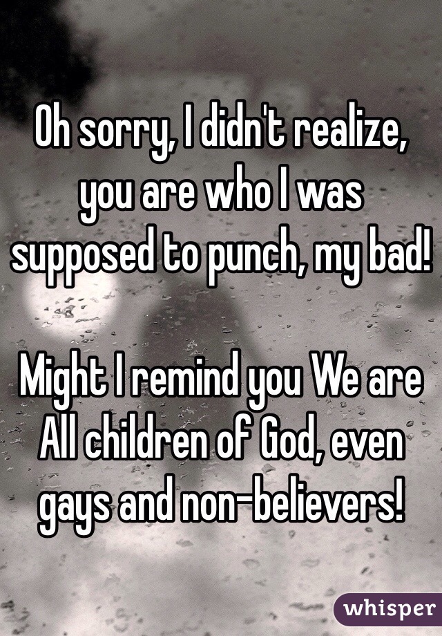 Oh sorry, I didn't realize, you are who I was supposed to punch, my bad!

Might I remind you We are All children of God, even gays and non-believers!