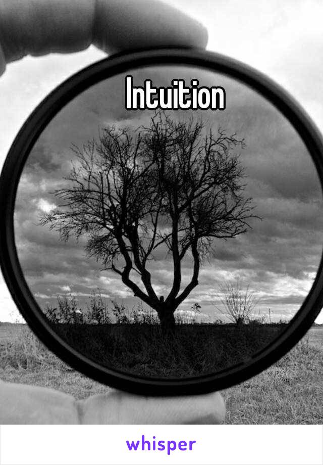 Intuition