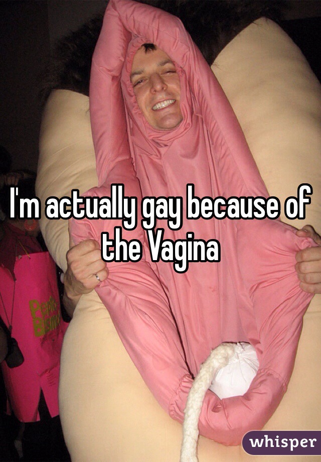I'm actually gay because of the Vagina 