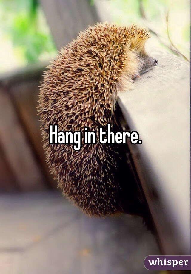Hang in there. 