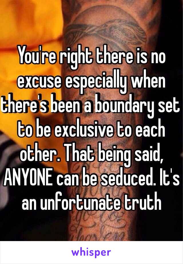 You're right there is no excuse especially when there's been a boundary set to be exclusive to each other. That being said, ANYONE can be seduced. It's an unfortunate truth