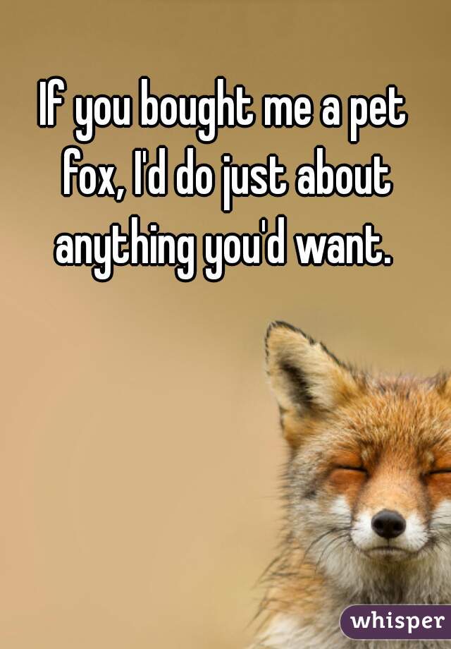 If you bought me a pet fox, I'd do just about anything you'd want. 