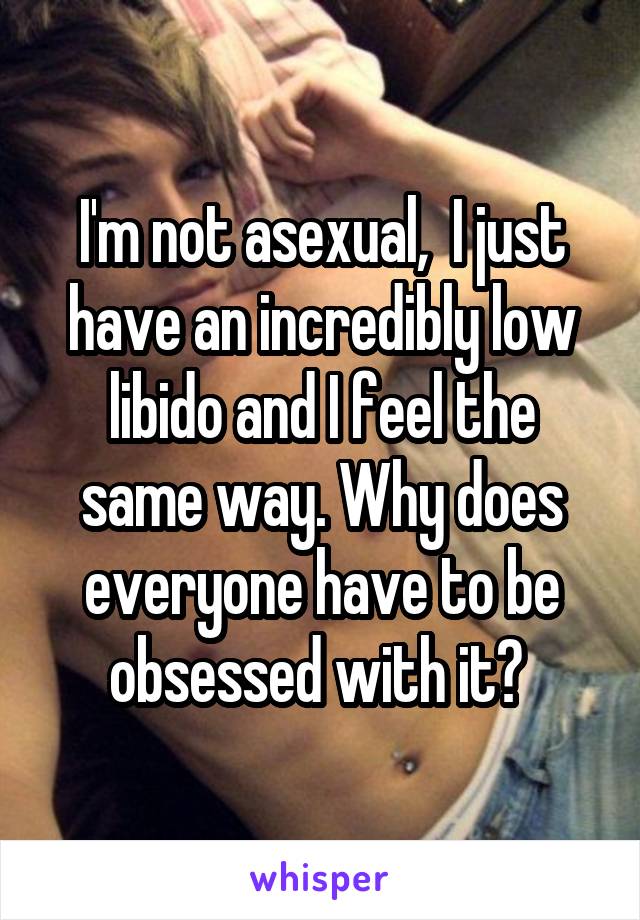 I'm not asexual,  I just have an incredibly low libido and I feel the same way. Why does everyone have to be obsessed with it? 