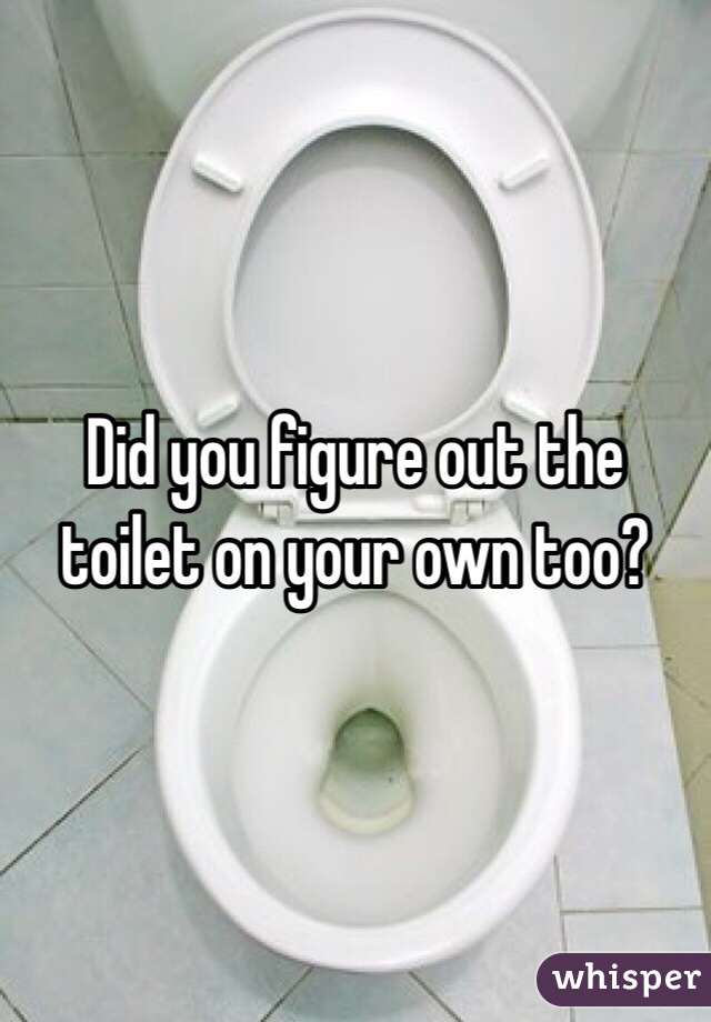 Did you figure out the toilet on your own too?