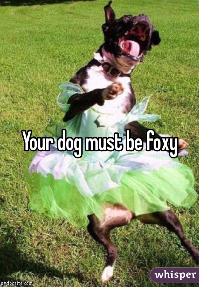 Your dog must be foxy