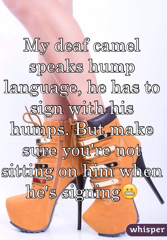 My deaf camel speaks hump language, he has to sign with his humps. But make sure you're not sitting on him when he's signing😬