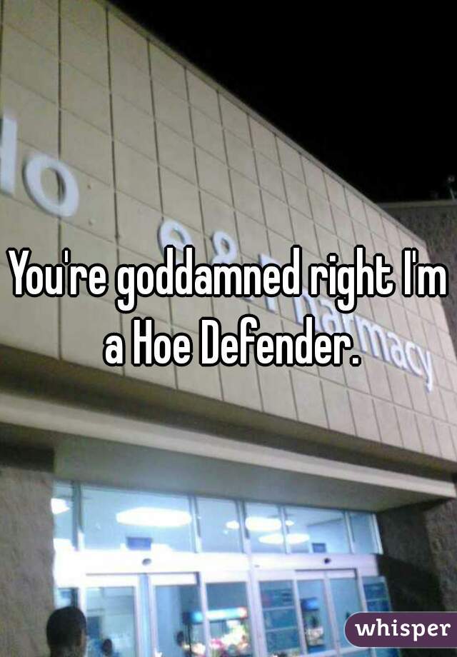 You're goddamned right I'm a Hoe Defender.