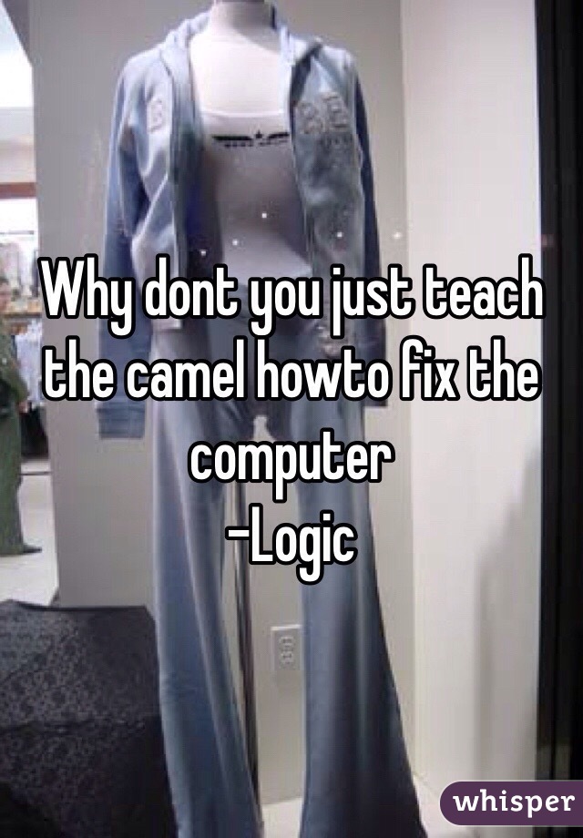 Why dont you just teach the camel howto fix the computer
-Logic