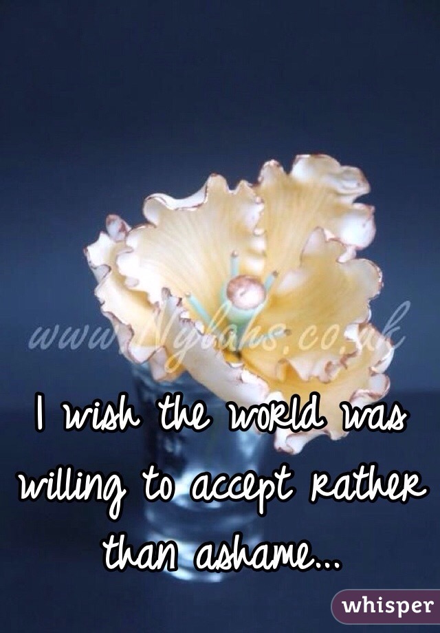 I wish the world was willing to accept rather than ashame... 