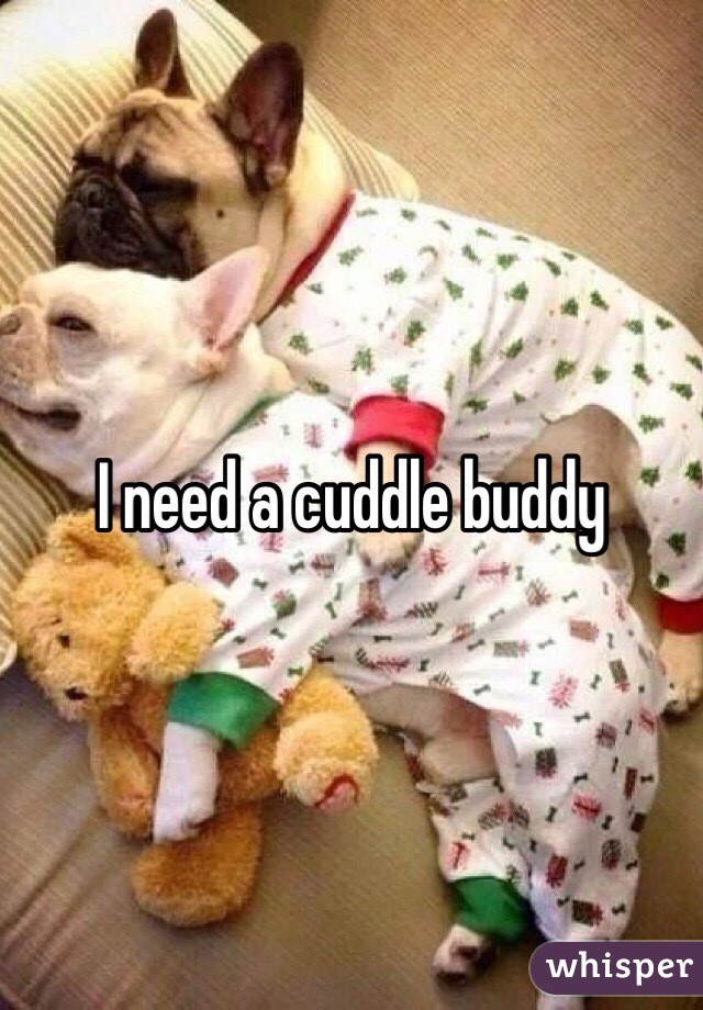 I need a cuddle buddy