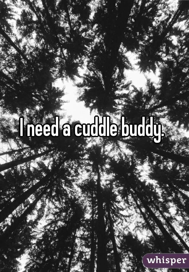 I need a cuddle buddy. 