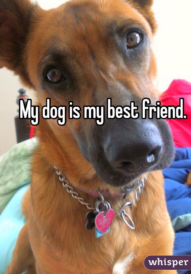 My dog is my best friend.