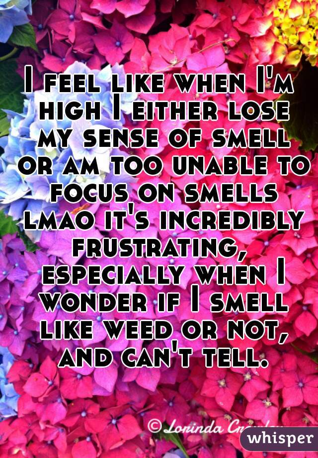 I feel like when I'm high I either lose my sense of smell or am too unable to focus on smells lmao it's incredibly frustrating,  especially when I wonder if I smell like weed or not, and can't tell.