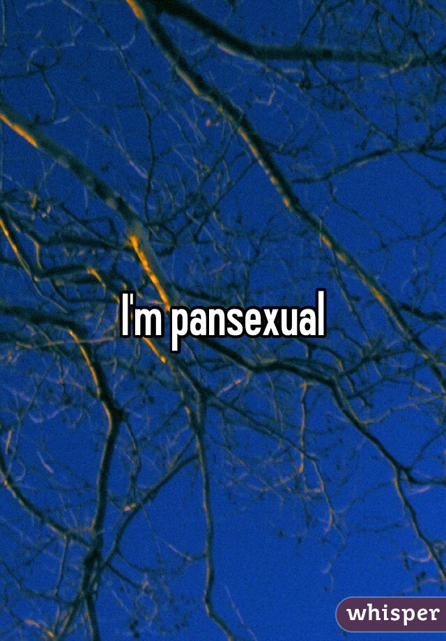 I'm pansexual