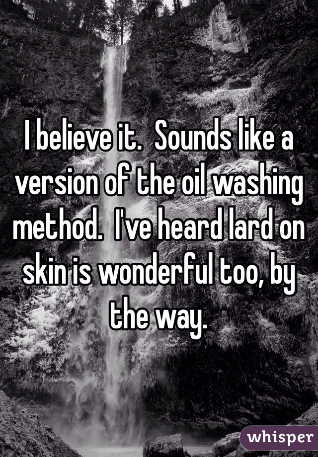 I believe it.  Sounds like a version of the oil washing method.  I've heard lard on skin is wonderful too, by the way.