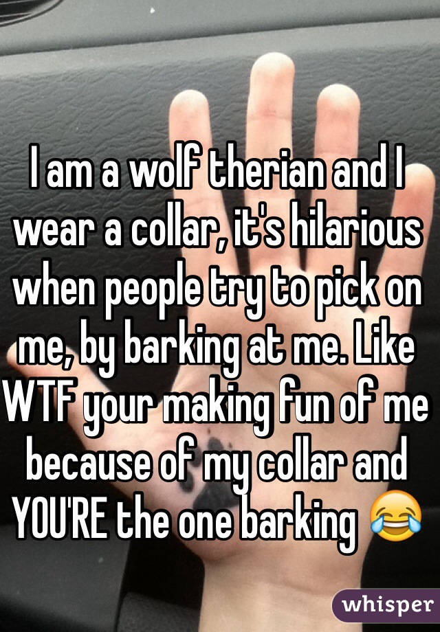 I am a wolf therian and I wear a collar, it's hilarious when people try to pick on me, by barking at me. Like WTF your making fun of me because of my collar and YOU'RE the one barking 😂