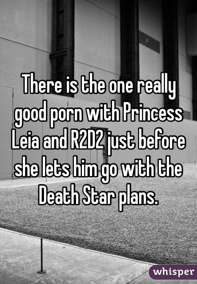 There is the one really good porn with Princess Leia and R2D2 just before she lets him go with the Death Star plans. 