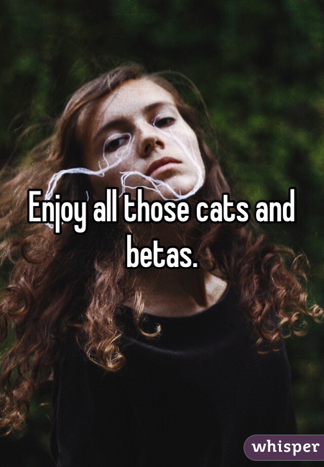 Enjoy all those cats and betas.