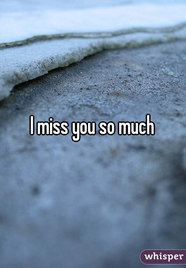 I Miss You So Much 1393