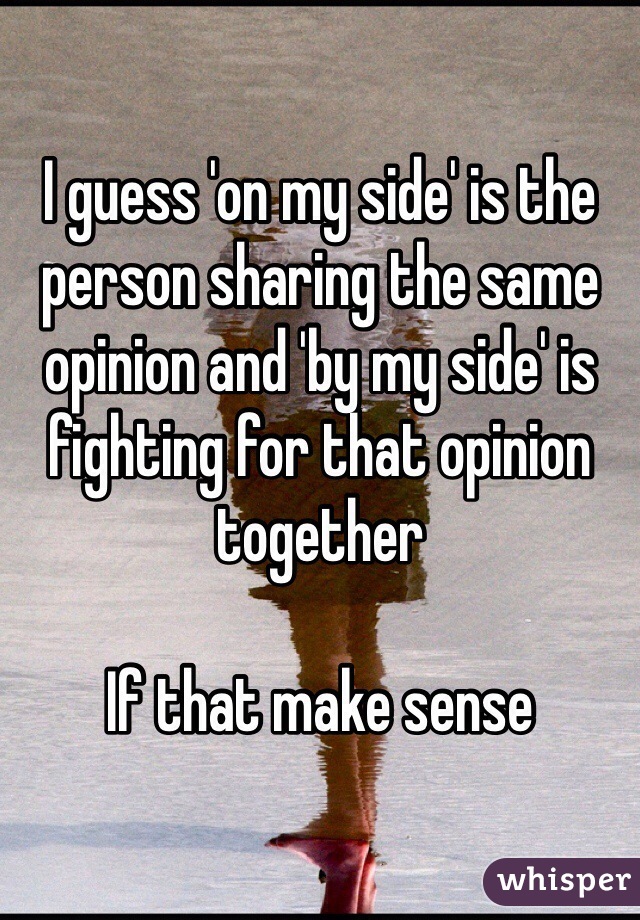 I guess 'on my side' is the person sharing the same opinion and 'by my side' is fighting for that opinion together

If that make sense