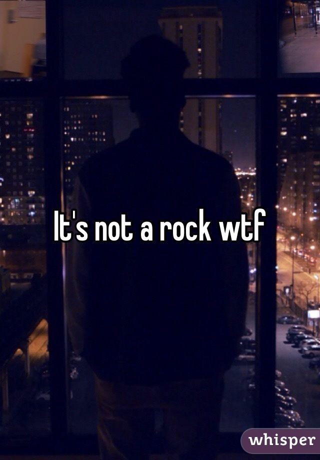 It's not a rock wtf