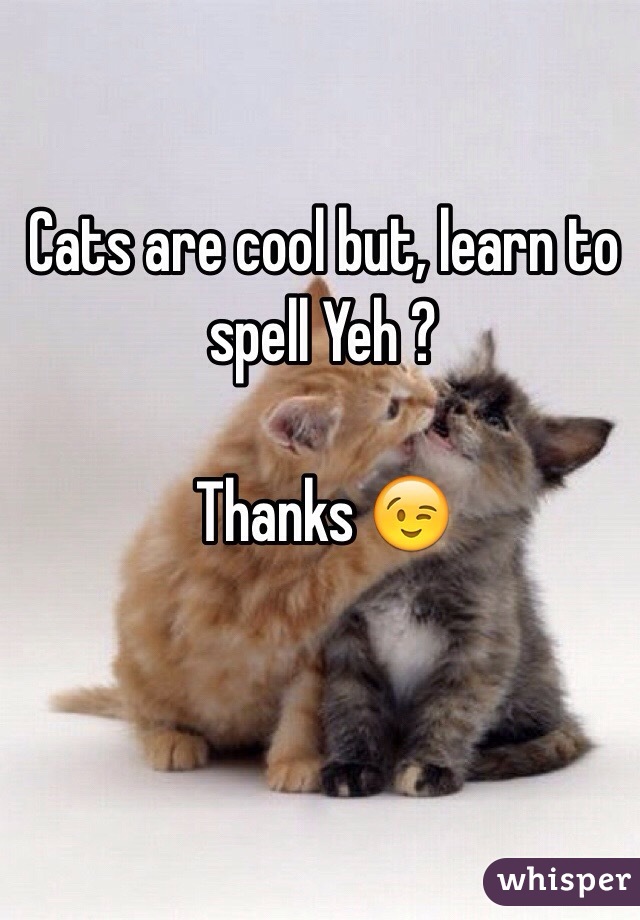 Cats are cool but, learn to spell Yeh ?

Thanks 😉