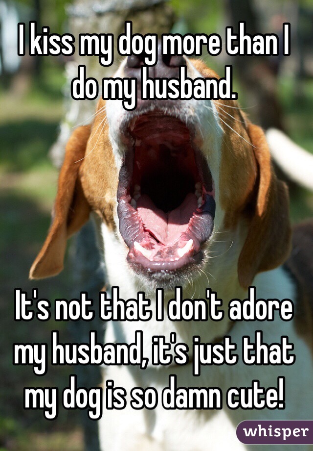 I kiss my dog more than I do my husband.




It's not that I don't adore my husband, it's just that my dog is so damn cute! 