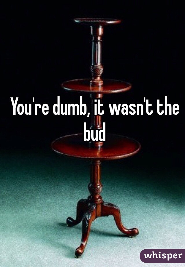 You're dumb, it wasn't the bud 