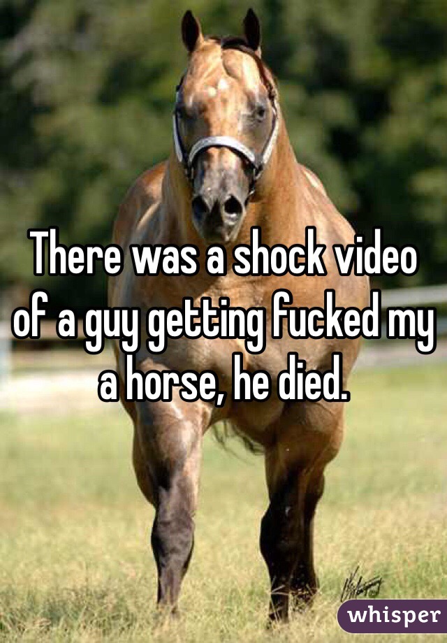 There was a shock video of a guy getting fucked my a horse, he died. 