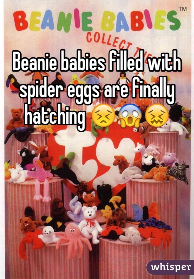 Beanie babies filled with spider eggs are finally hatching 😣😱😖