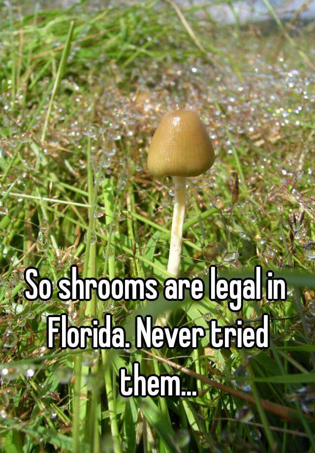 so-shrooms-are-legal-in-florida-never-tried-them