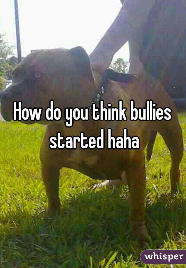How do you think bullies started haha