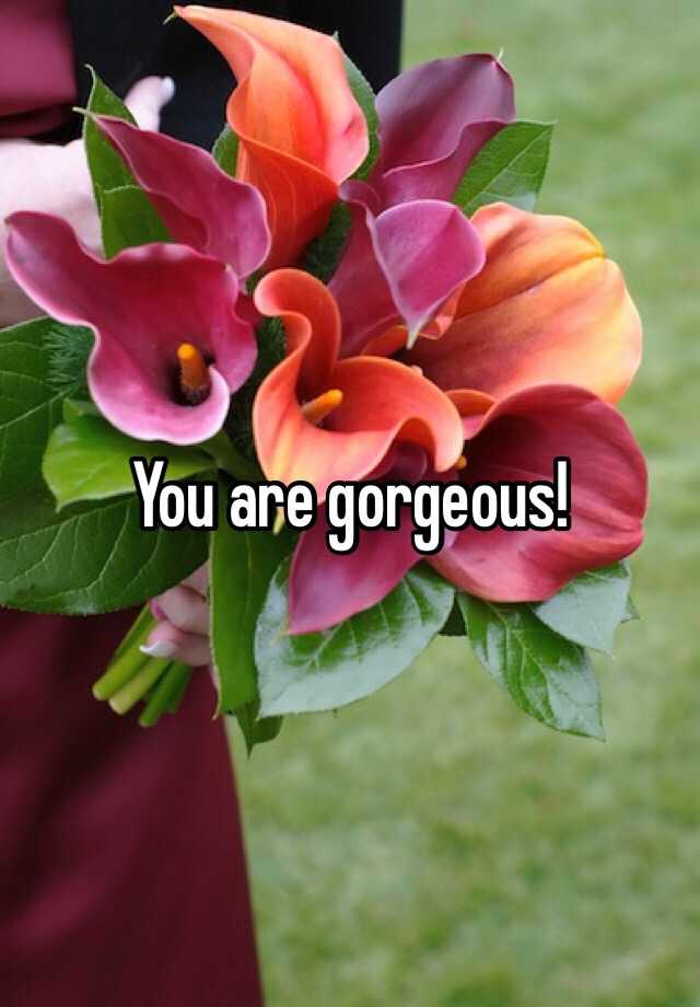 you-are-gorgeous