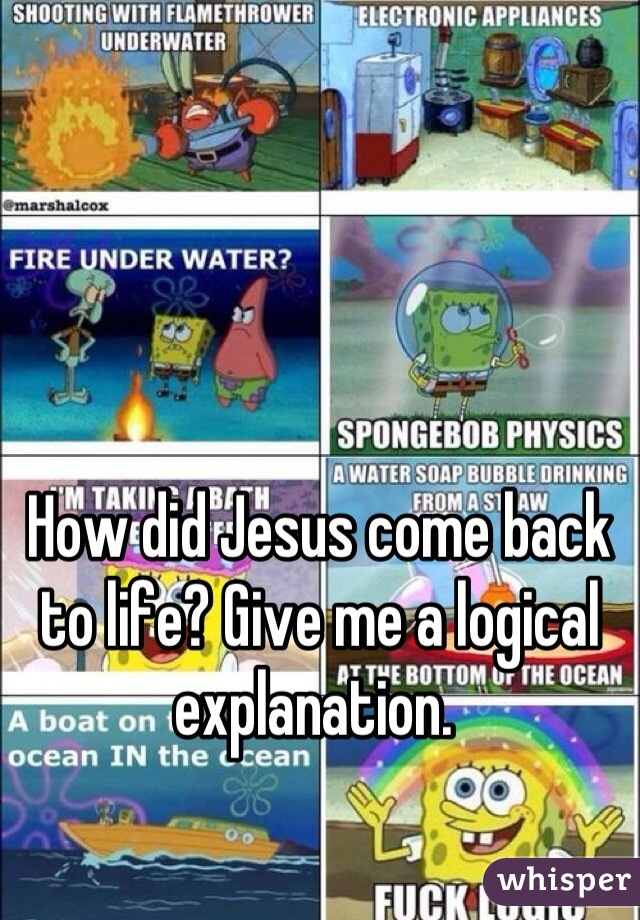 How did Jesus come back to life? Give me a logical explanation. 