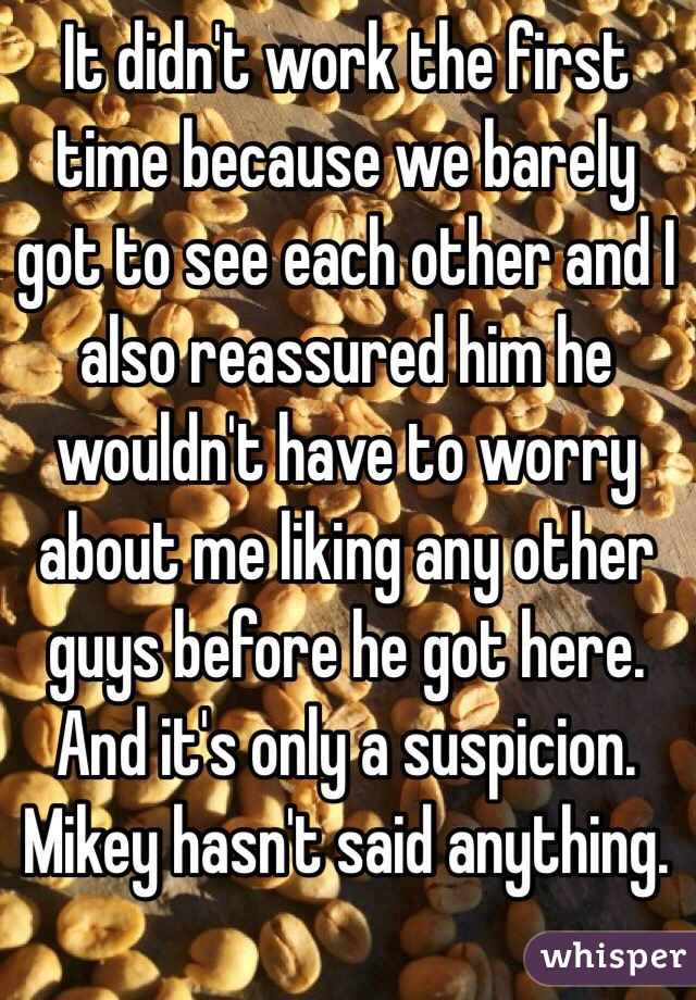 It didn't work the first time because we barely got to see each other and I also reassured him he wouldn't have to worry about me liking any other guys before he got here. And it's only a suspicion. Mikey hasn't said anything.