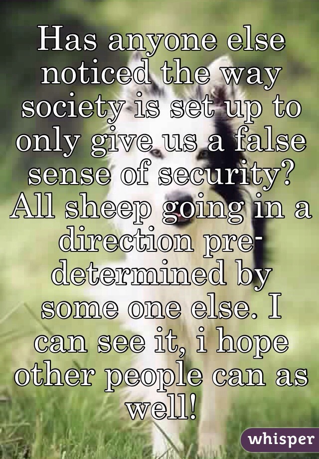 Has anyone else noticed the way society is set up to only give us a false sense of security? All sheep going in a direction pre-determined by some one else. I can see it, i hope other people can as well!