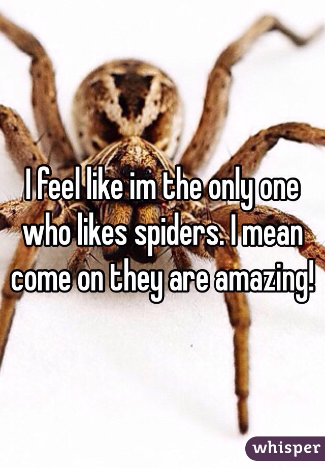 I feel like im the only one who likes spiders. I mean come on they are amazing! 