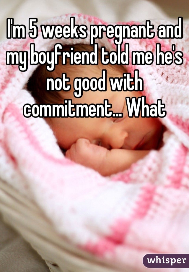 I'm 5 weeks pregnant and my boyfriend told me he's not good with commitment... What
