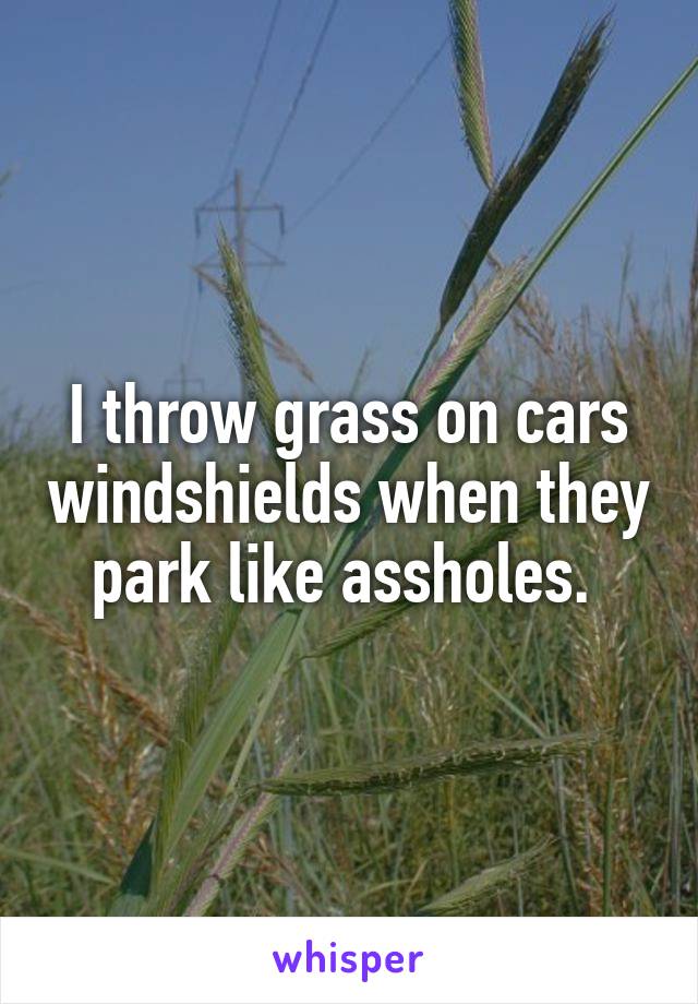 I throw grass on cars windshields when they park like assholes. 