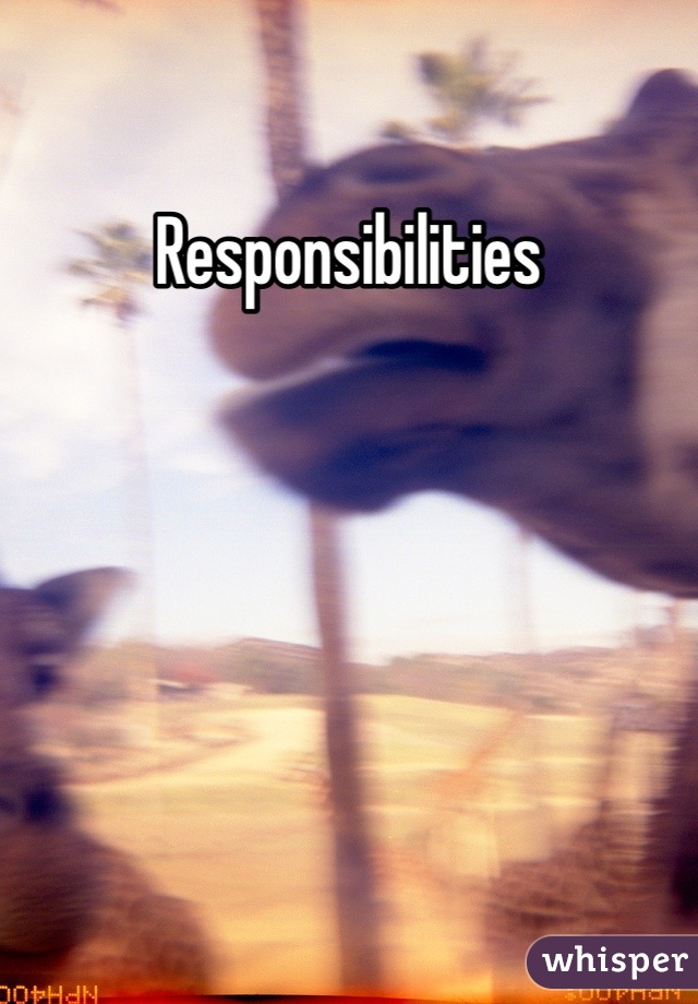 Responsibilities