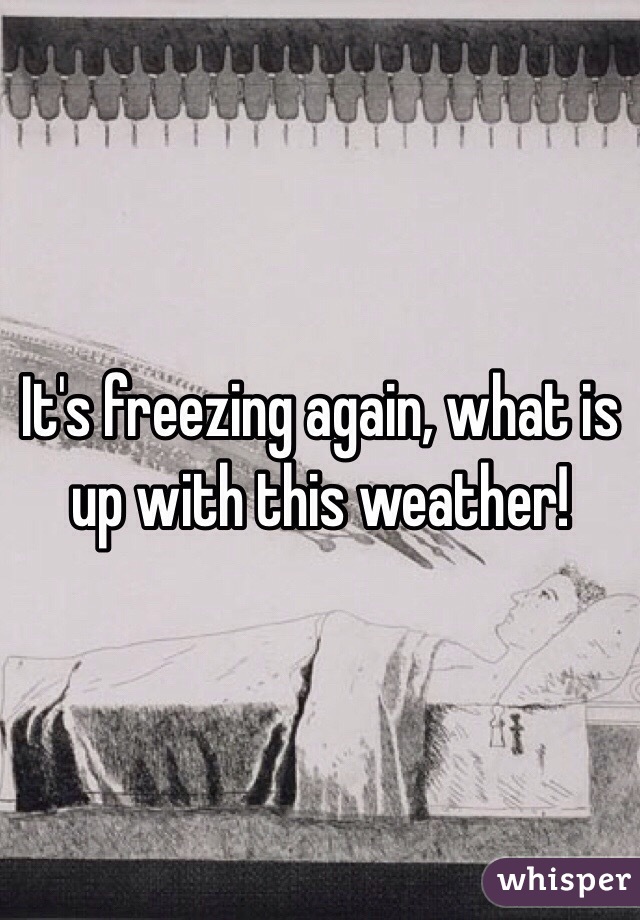 It's freezing again, what is up with this weather! 