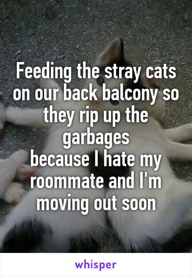 Feeding the stray cats on our back balcony so they rip up the garbages
because I hate my roommate and I'm moving out soon