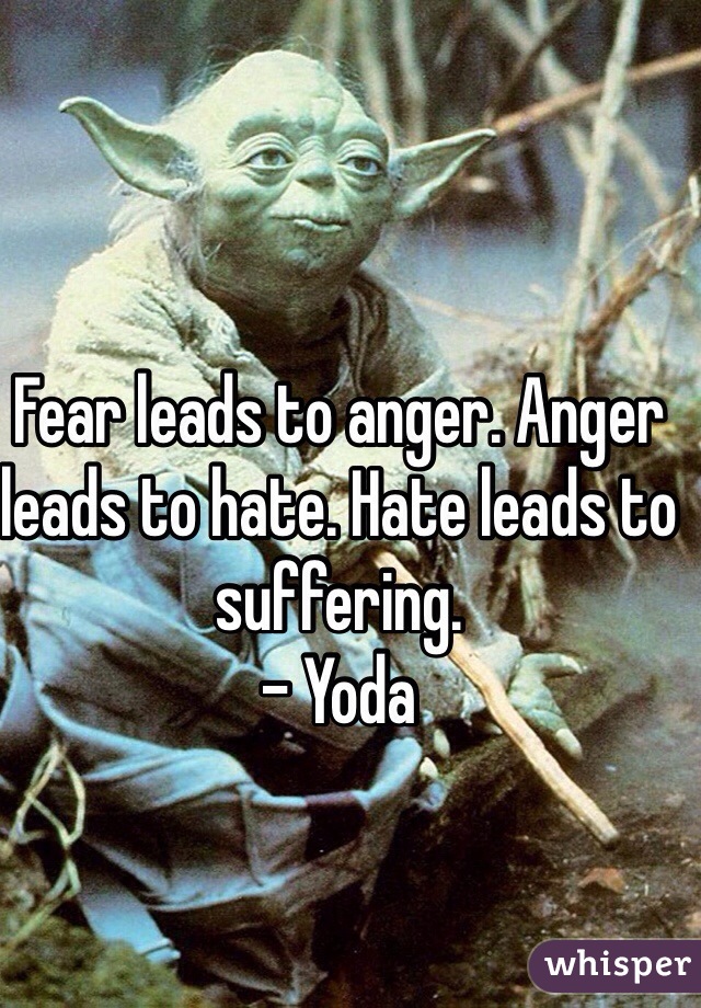 Fear leads to anger. Anger leads to hate. Hate leads to suffering.
- Yoda