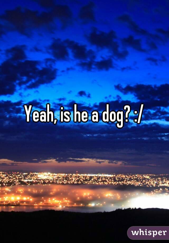 Yeah, is he a dog? :/