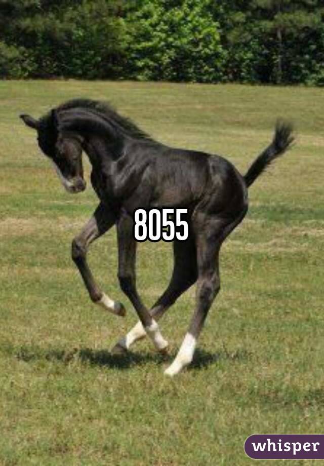 8055